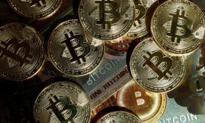 DOJ seizes $15 billion in bitcoin in pig butchering fraud